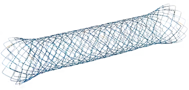 Mitra enteral self-expanding metallic stent
